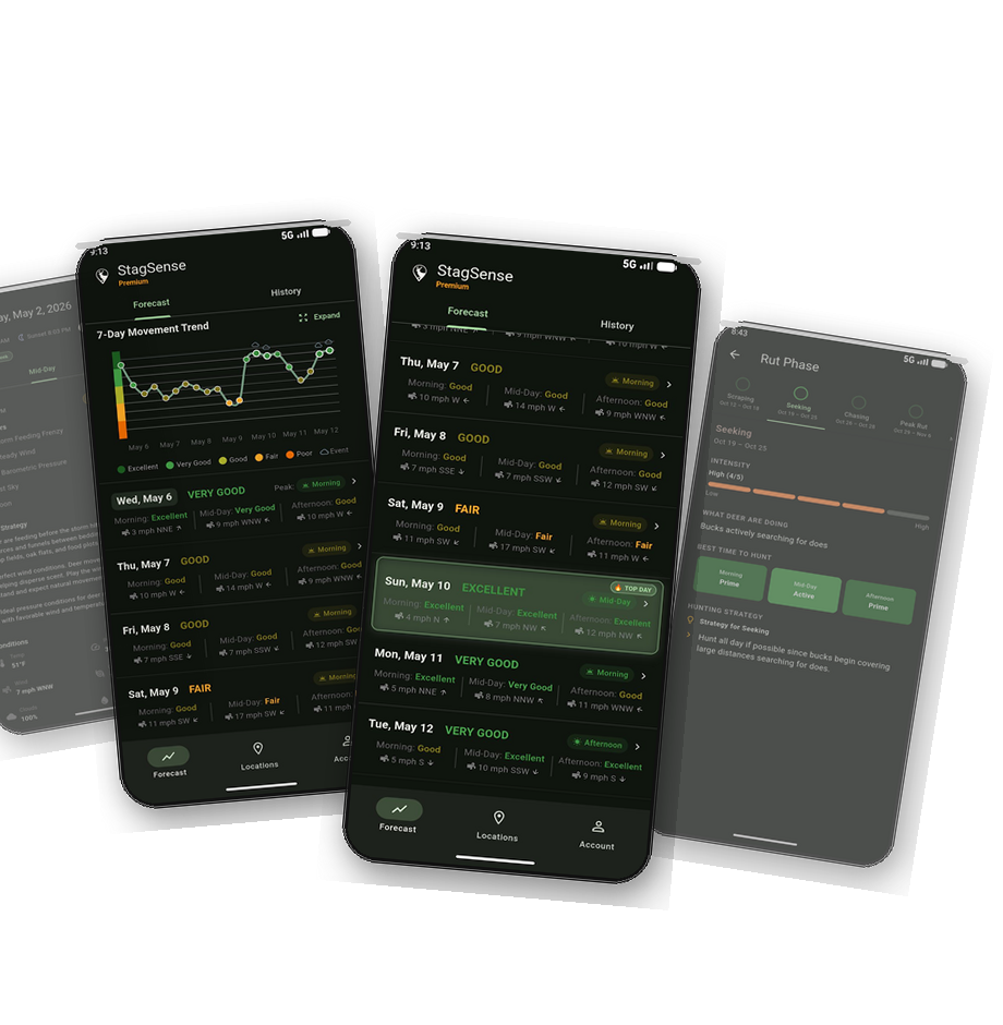 StagSense App